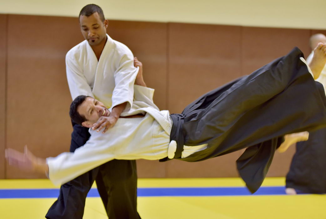 Aïkido David Médard lyon 9 uchi deshi du dojo de Lyon 69 Tassin aikido un art martial de self défense