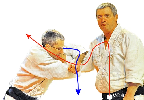 tegatana bras impliable en aïkido traditionnel 