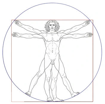  Dessin de Léonard de Vinci vitruve et aïkido traditionnel 