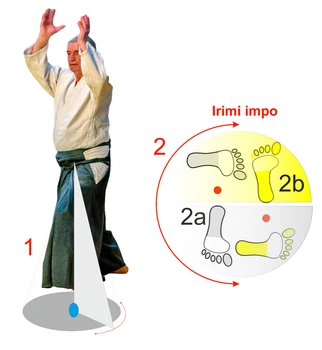  Irimi impo pivot en aïkido traditionnel  