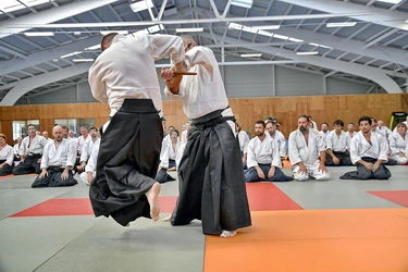 du fondateur de l'aïkido à Alain Peyrache sensei