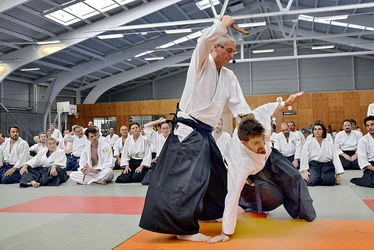 du fondateur de l'aïkido à Alain Peyrache sensei