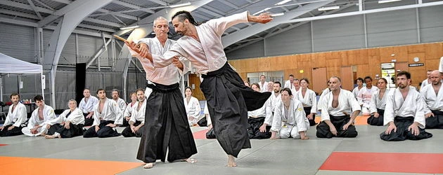 du fondateur de l'aïkido à Alain Peyrache sensei