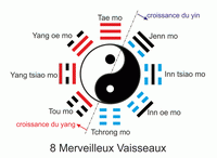 Alain Peyrache sensei aïkido yin yang Lyon 69, Bourg 01, Villefranche