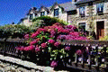 Hortentias et maison de granit à Ploumanac'h