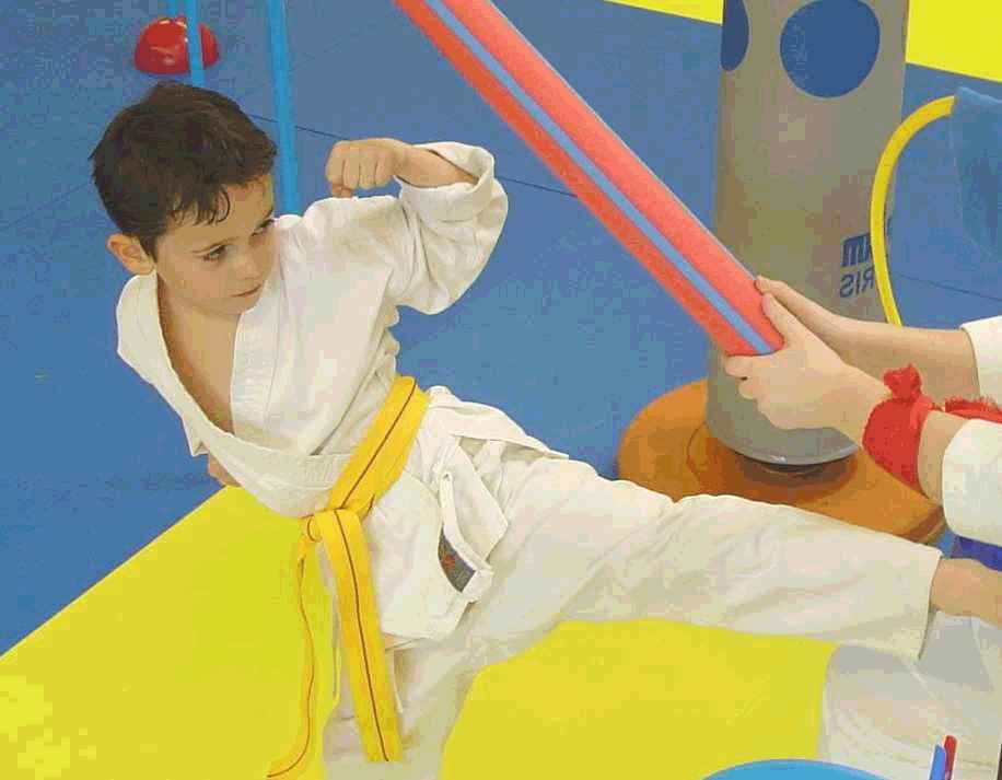  Karate_10 sport martial
