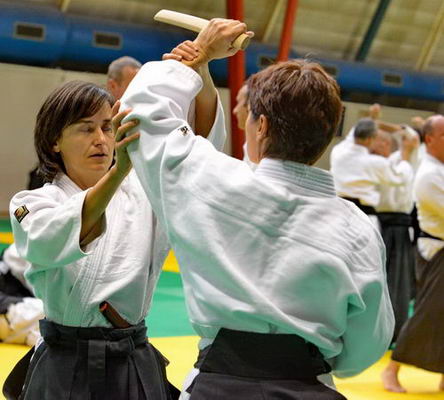 Aikido    EPAI-ISTA  