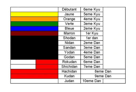 Boules de billard origine des ceintures de couleur en judo 