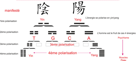 Aïkido logos et symboles