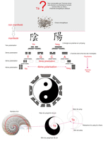 aïkido énergetique-yin yang dojo de Bourg 01 et Lyon Tassin 69