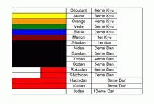 l'aïkido traditionnel diplômes menkyo grades-ceintures martiales