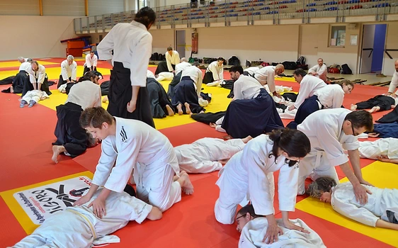 seifuku kwatsu taïkido en aïkido traditionnel