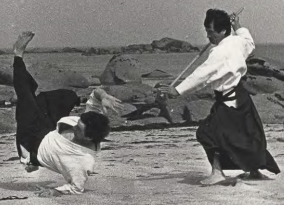 Tamura sensei et Alain Peyrache aïkido lyon 5ème aïkido dojo de Tassin la Demi-Lune 69