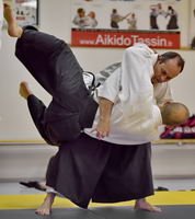 Aikido koshi nage de Lyon 8 