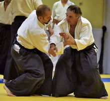 Aïkido kote gaeshi dojo de Lyon 69 Tassin